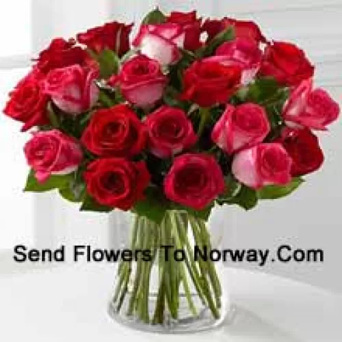 23 roses (11 rouges et 12 roses rose bicolores) avec des remplisseurs saisonniers dans un vase en verre
